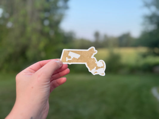 State of Surveillance Sticker
